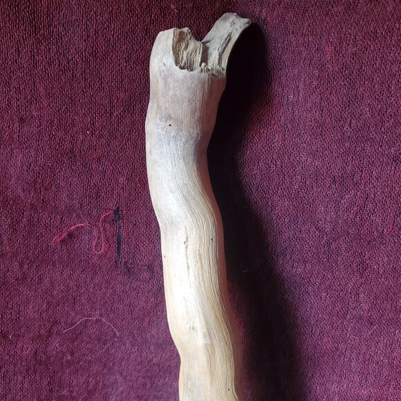 Driftwood Decor - 13" - Terrarium Taxidermy Aquarium Aquascape Reptile Parrott - Picture 7 of 9